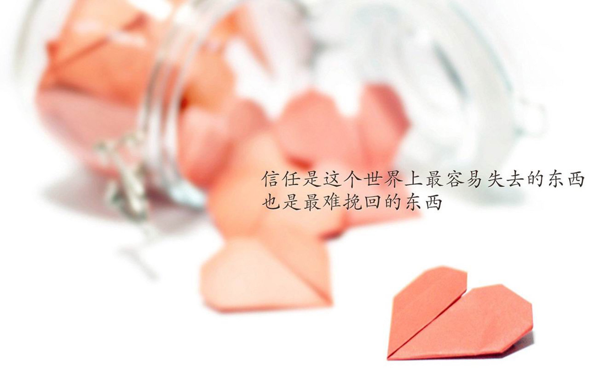 开云体育入口-_鹈鹕队潜力无限，逐步追赶领先者_，鹈鹕队改名前是哪个队