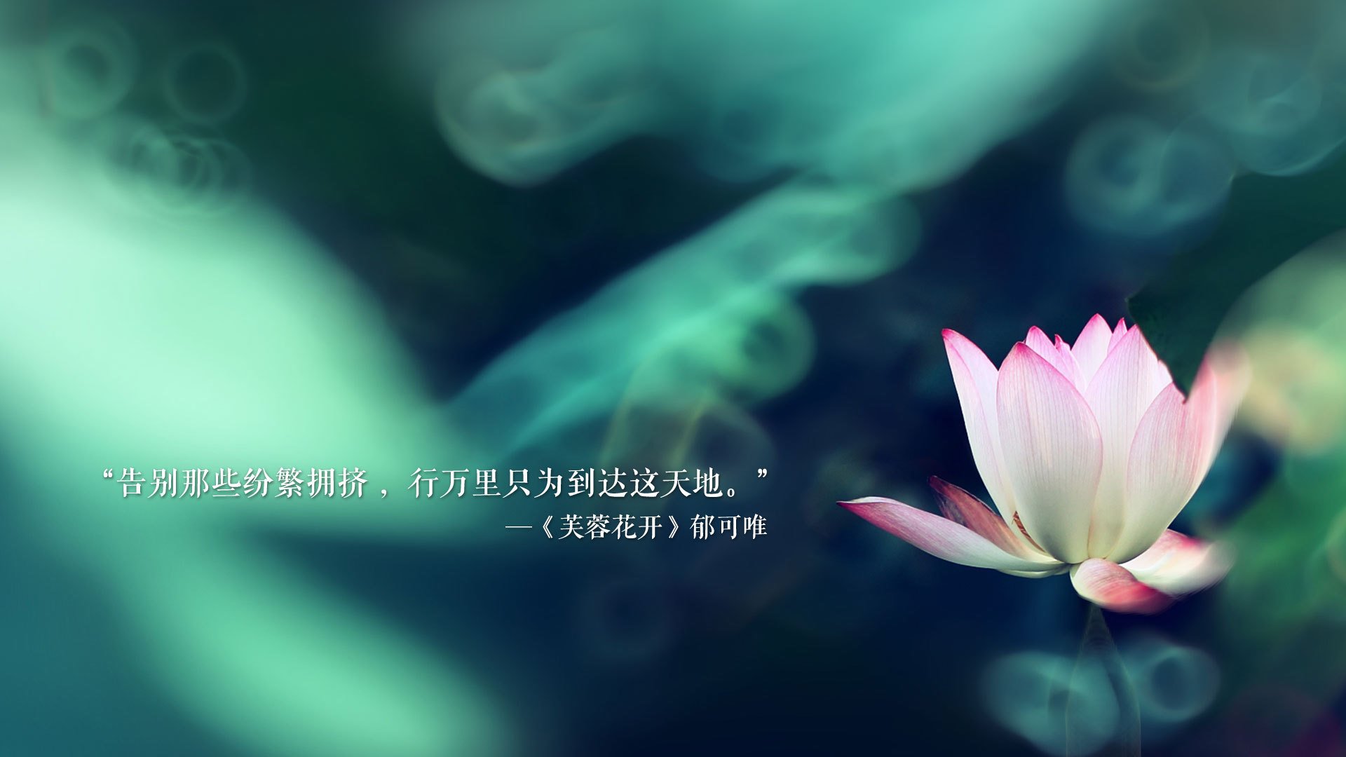 开云注册网址-球队训练：幕后练习曝光秘技，球队训练口号
