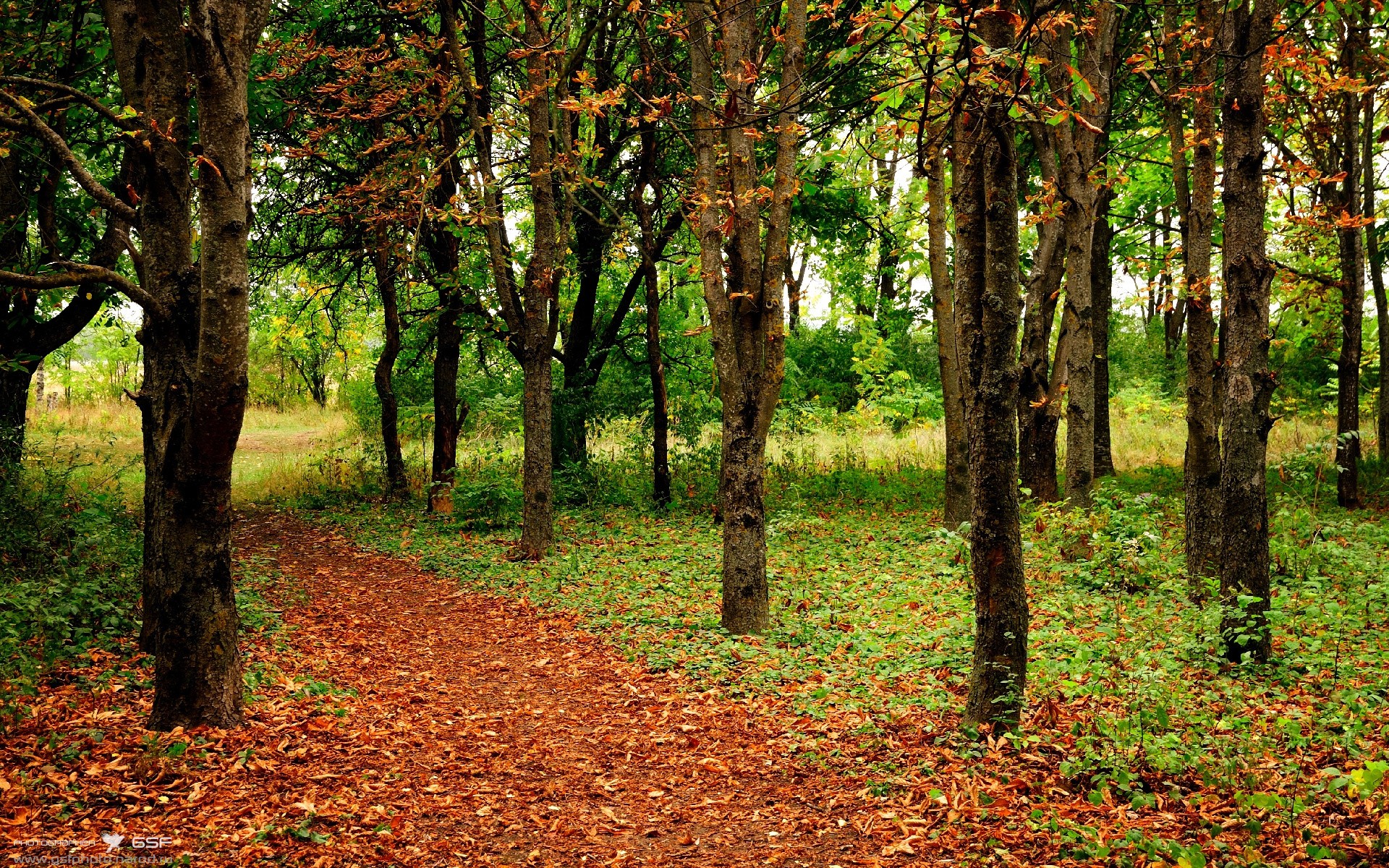 开云平台-阿森纳将客场对阵谢周三，胜负悬念，阿森纳对拜仁