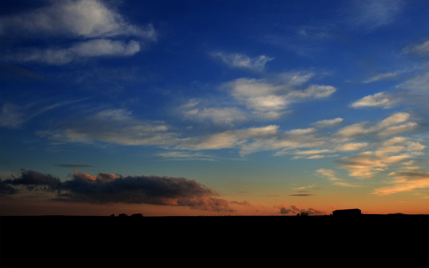 NBA球队品牌建设与粉丝忠诚度培养,nba球队风格