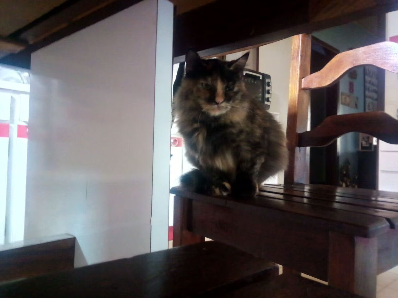 国家队得分点集中是否导致战术单一，国家队积分规则