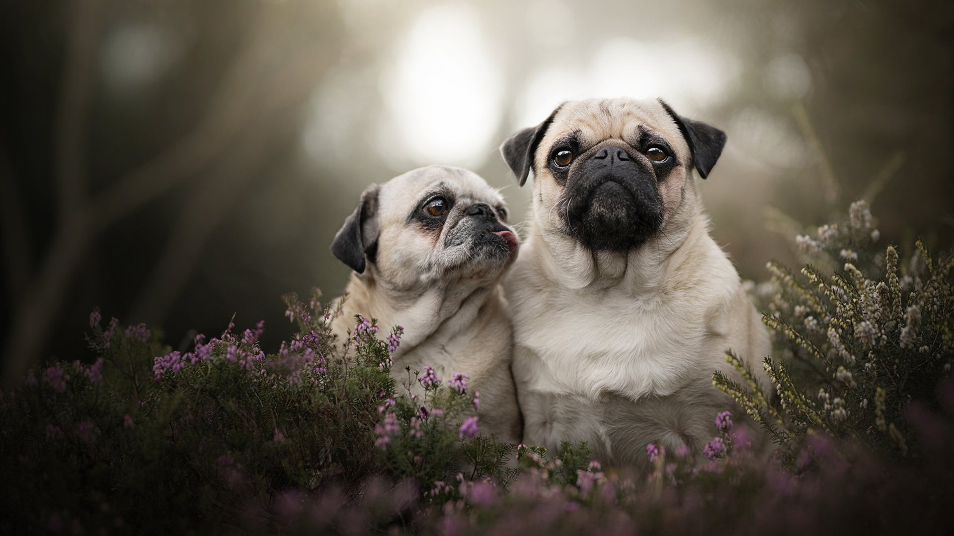 开云体育官网-基层足球普及受制于社会资源分配不均，足球的社会普及度