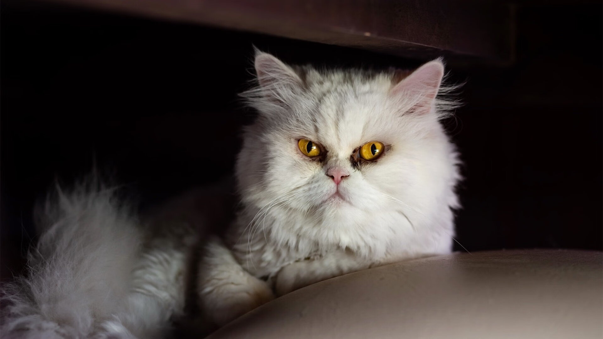 kaiyun体育-青训体系加强基础训练和心理辅导，青训理念