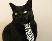 克拉科夫篮球队在国际邀请赛中表现出色，展现崭新力量，克拉科夫介绍