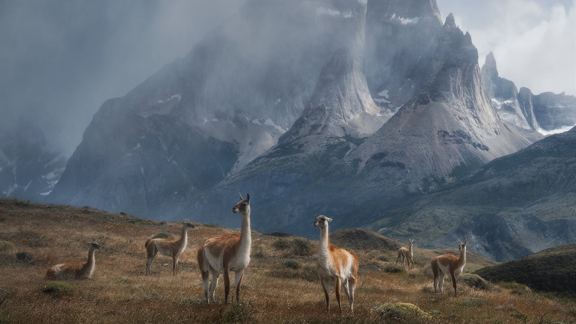 决赛表现回顾:贾瓦迪全力以赴,贾维斯·瓦纳多