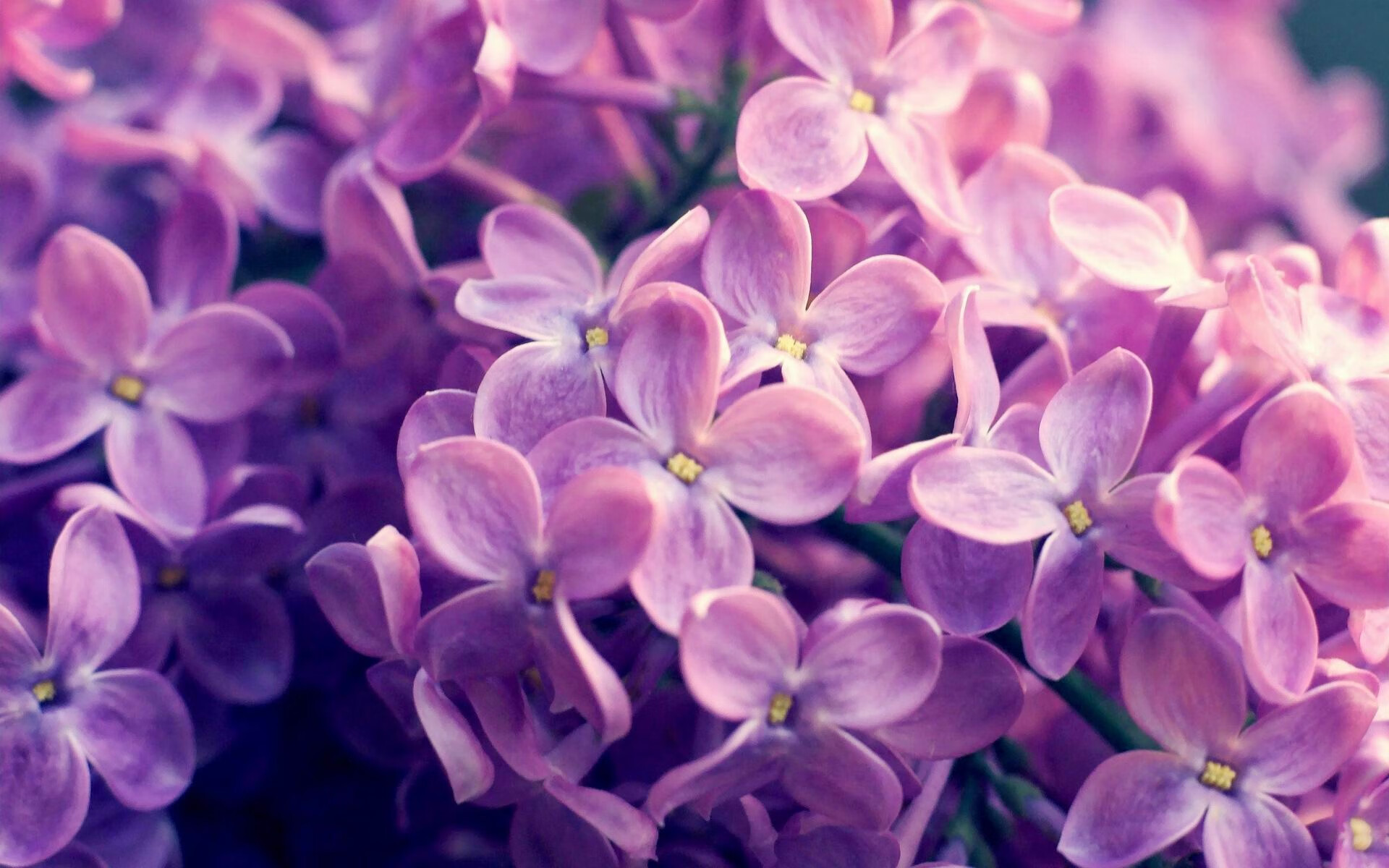 开云平台-女子足球鼓励退役球员转岗参与青训与裁判工作，女足 退役