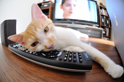 独行侠核心表示球队凝聚力是赢球关键,独行侠球队名单