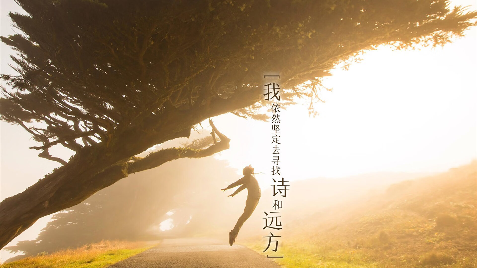 特色足球主题文化节推动本土体育文化国际交流与合作,关于足球文化节的三项活动