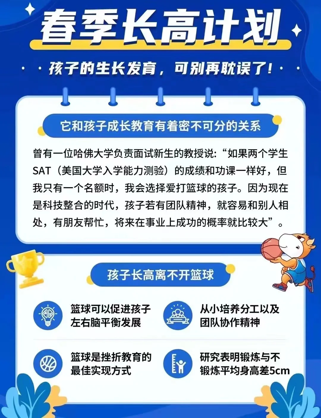 青少年篮球选手的培养与发展路径